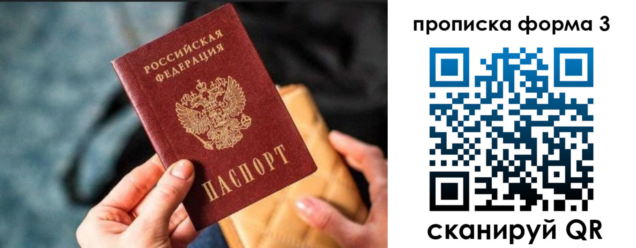 прописка гарантия в Выборге